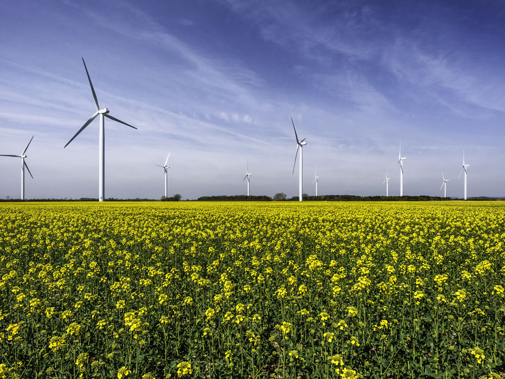 Climate advisers urge government to support ‘shovel-ready’ green projects