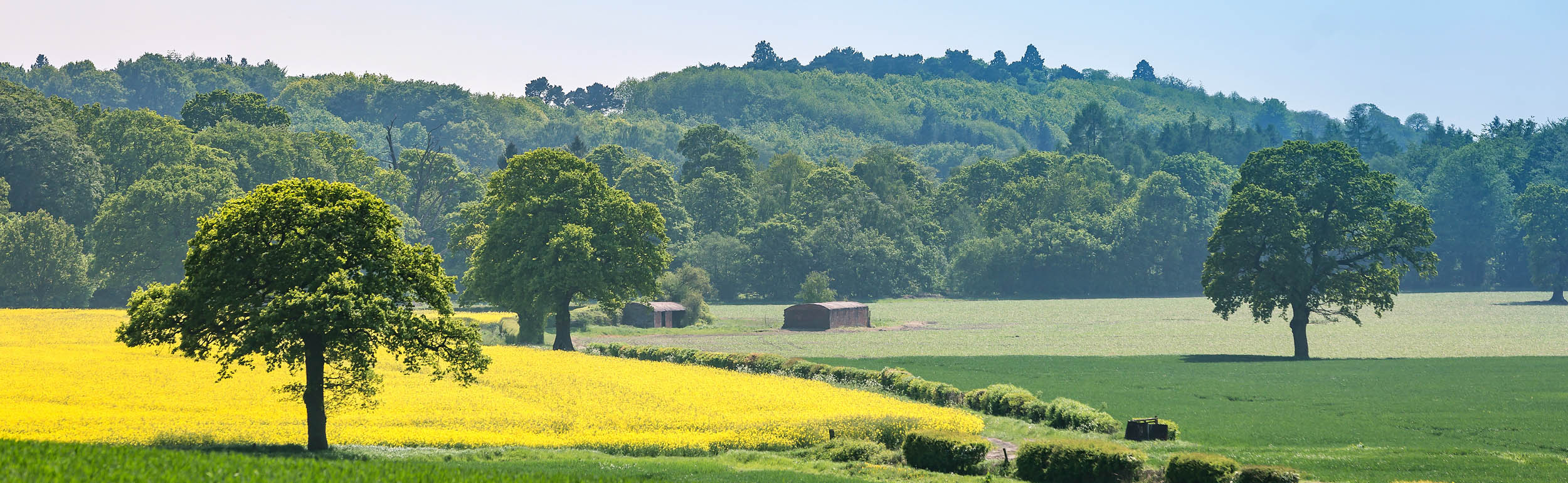 The Rural Report: Farmland market update