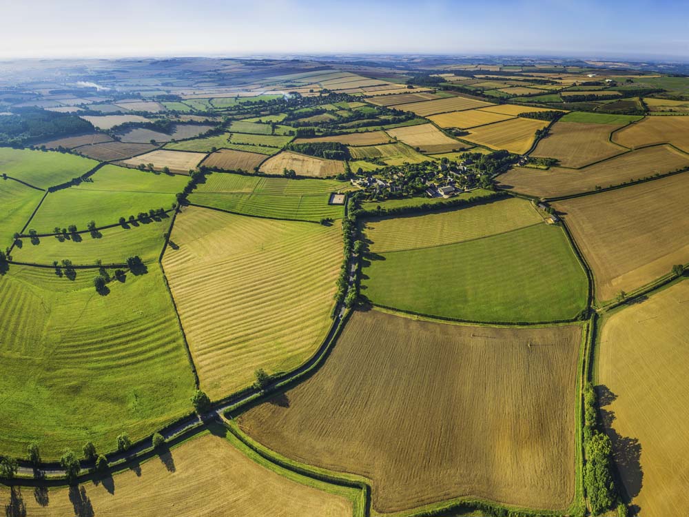 Weekly rural property and business update