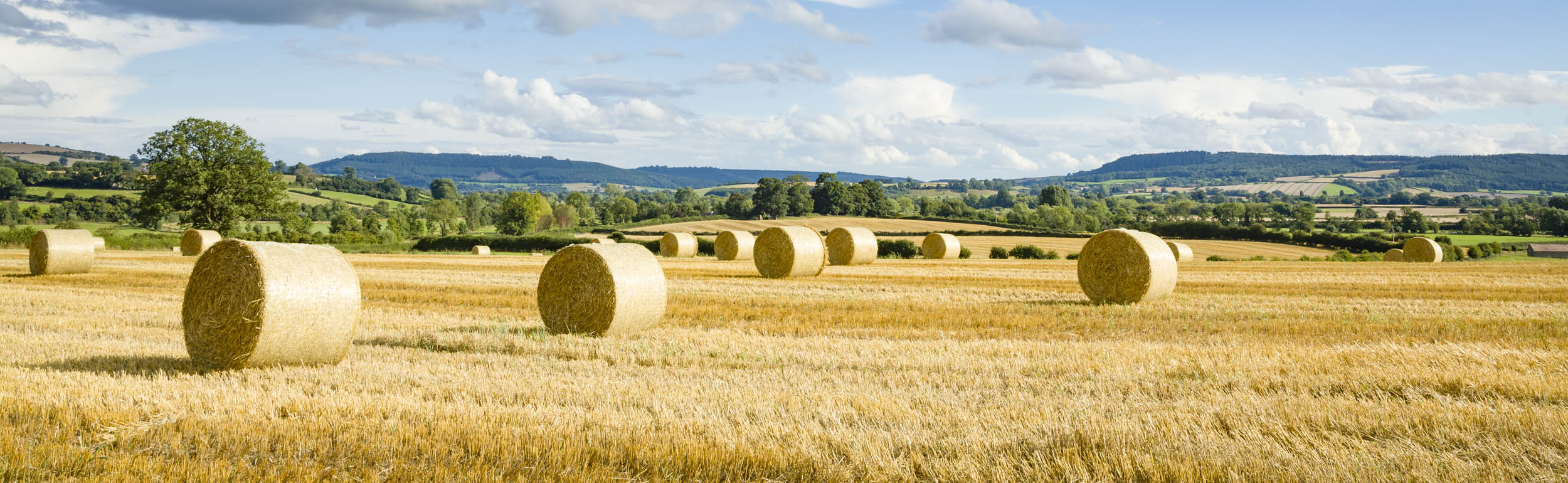 Weekly rural property and business update
