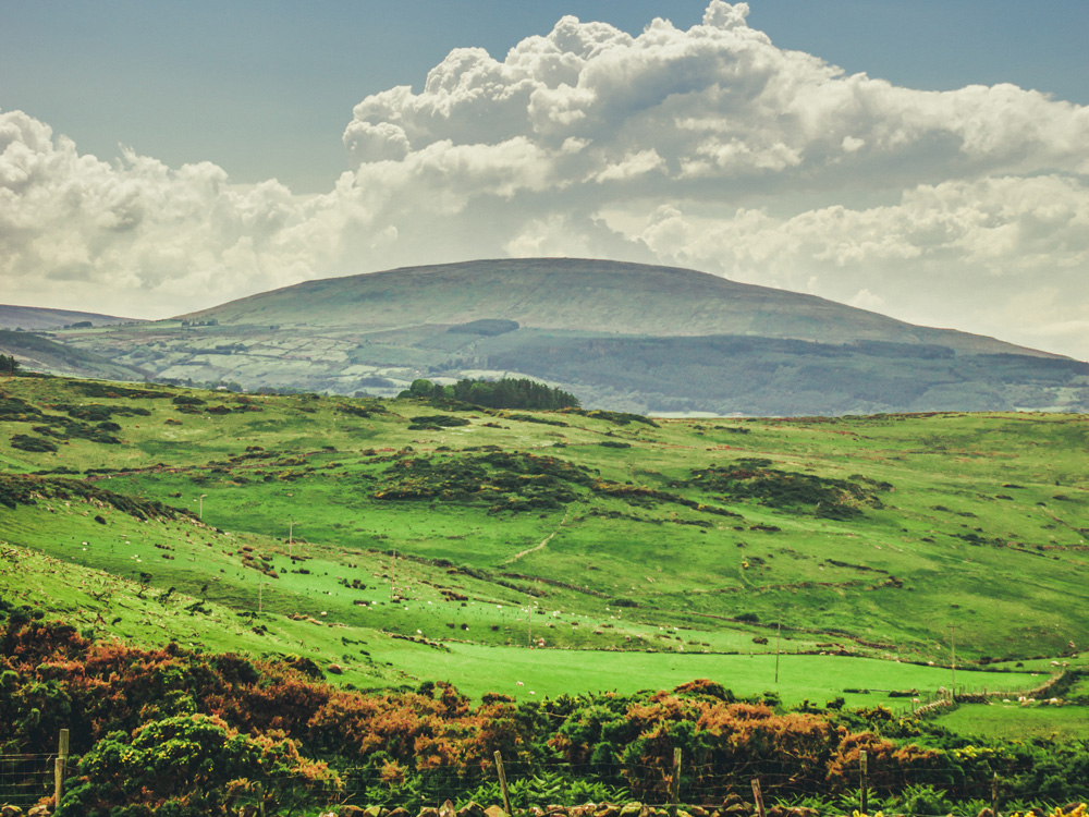 Weekly rural property and business update 