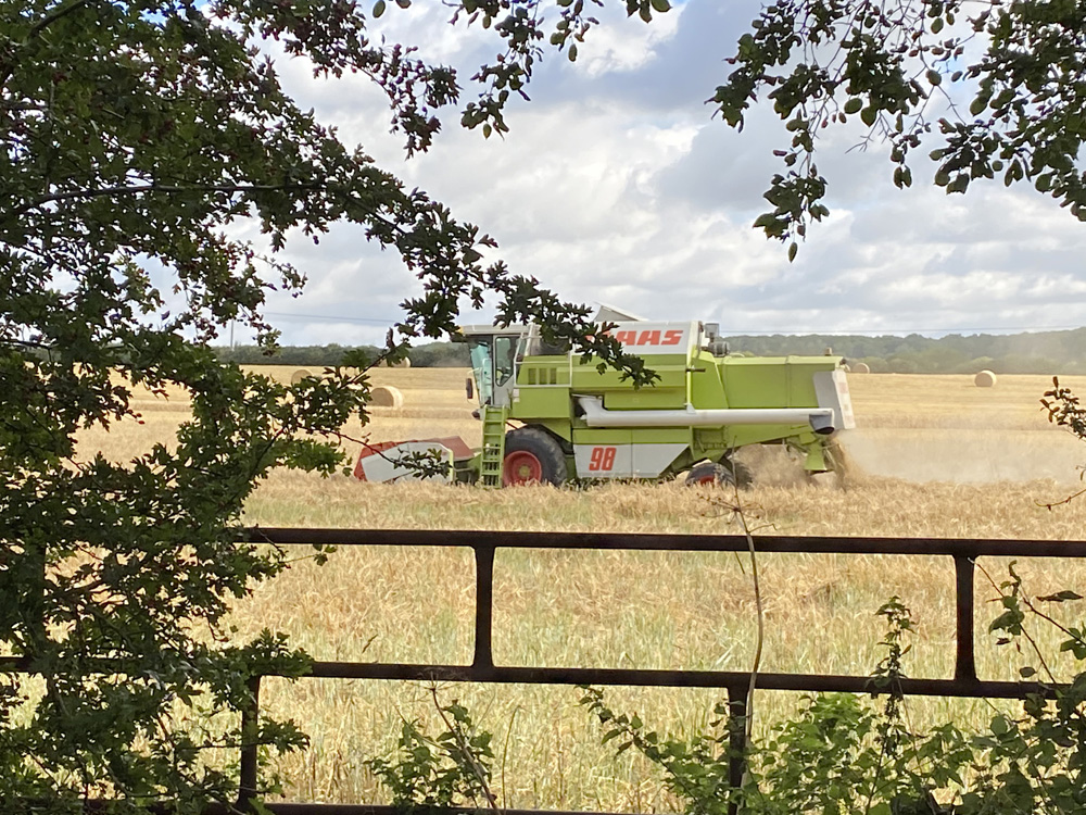 Weekly rural property and business update