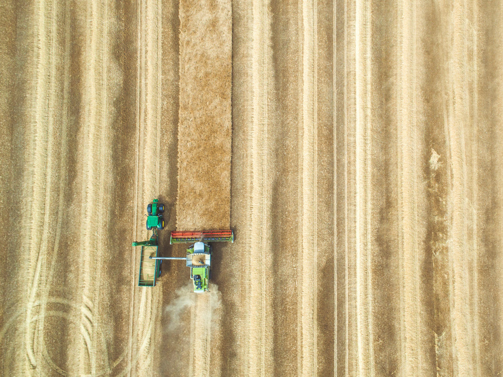 The Knight Frank Rural Property and Business Update – 11 January
