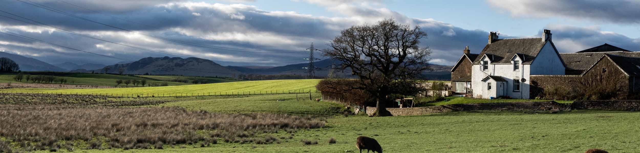Annual price growth at decade-long high in Scotland’s Country market