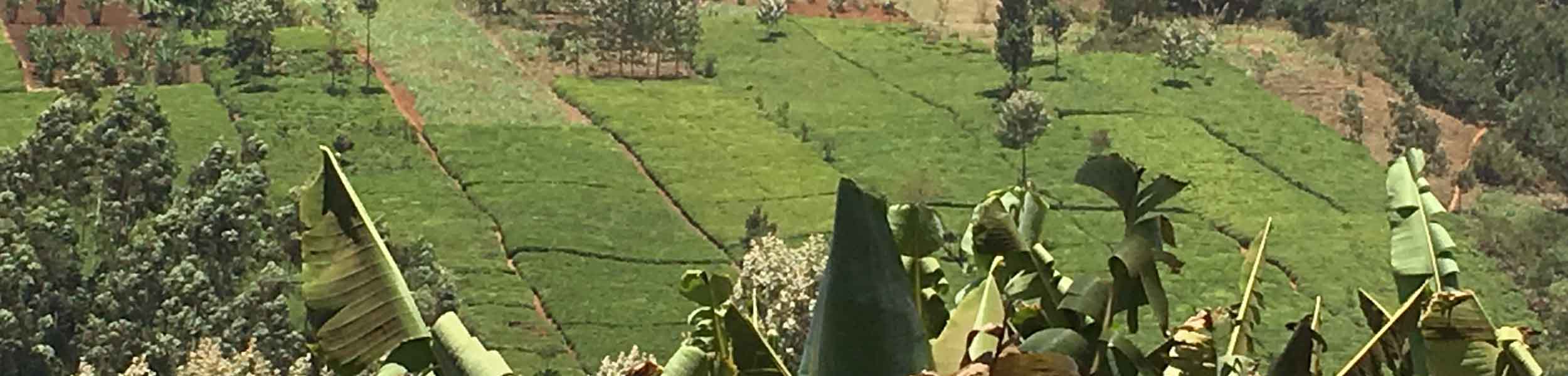 Farming on the front line of climate change