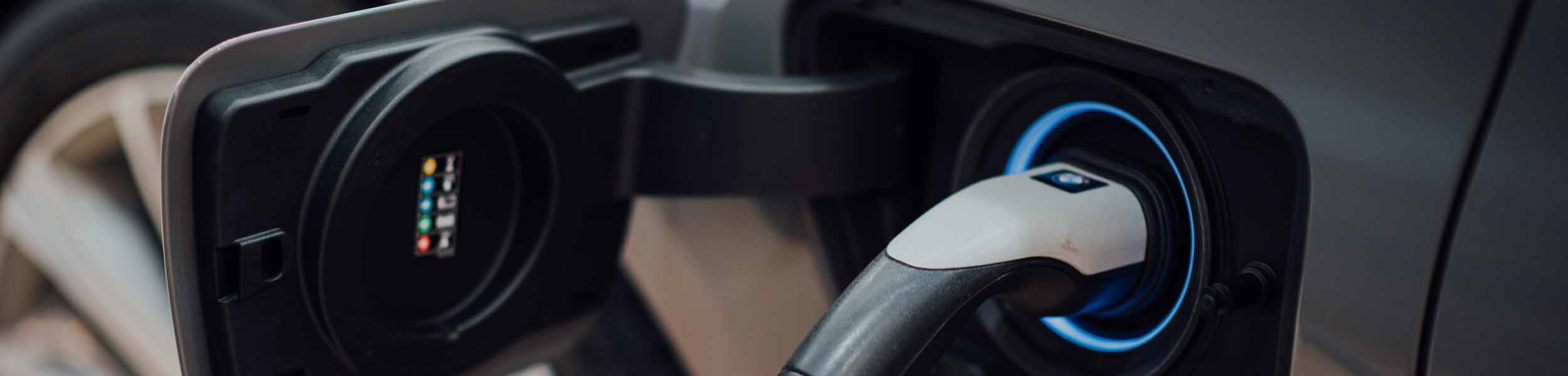 New York rising, EV chargers in all new homes and the Bank of England's worsening festive headache