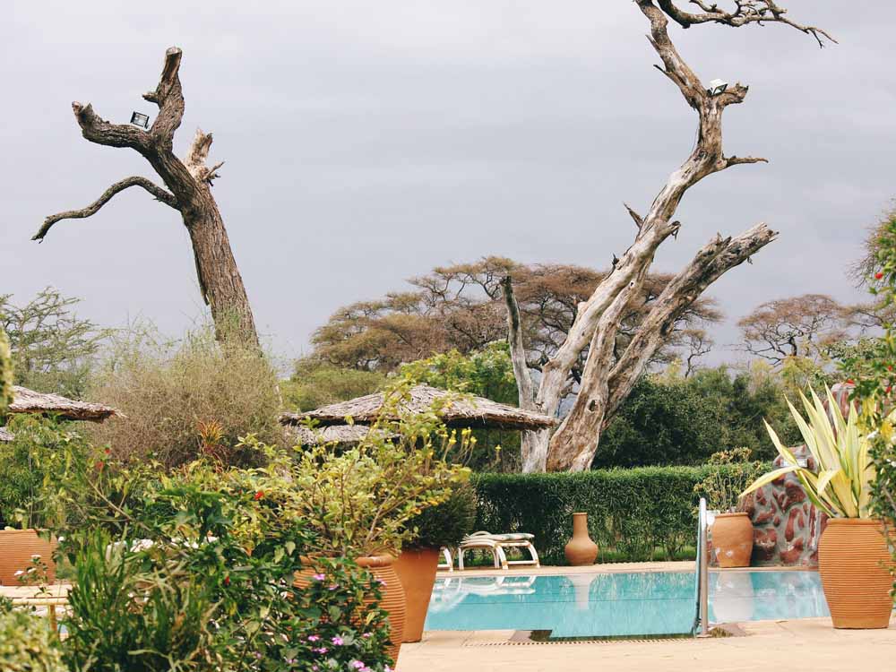 Image of Africa Prime Residential Market Performance