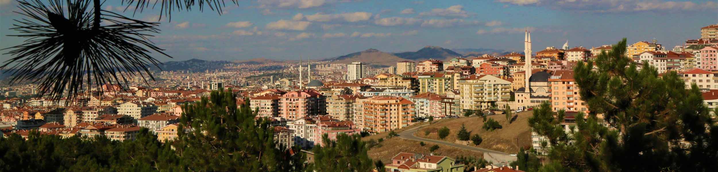 Globally, city house prices increased 5.6% in 2020