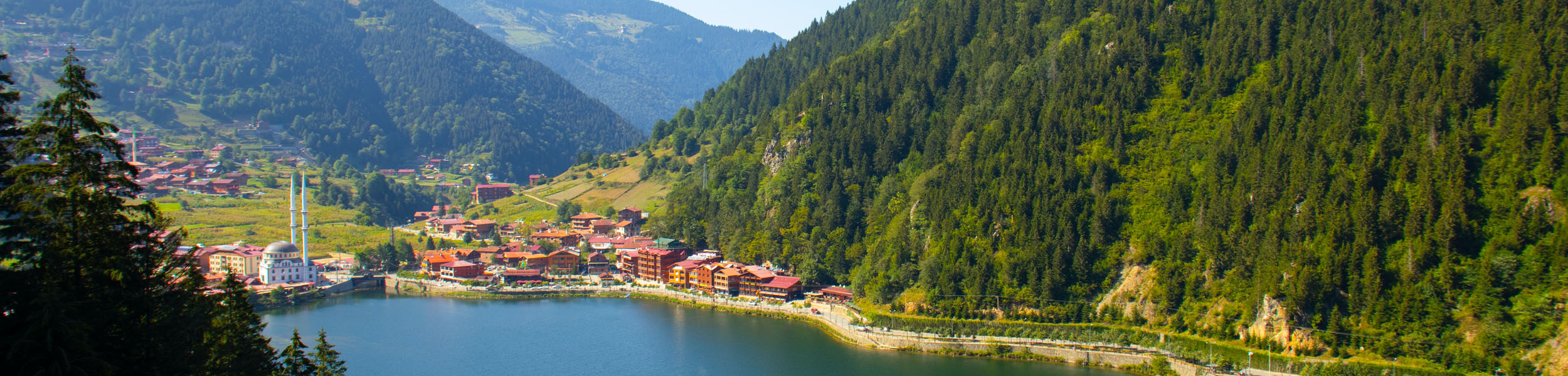 Globally, house prices rise at their fastest rate in almost three years