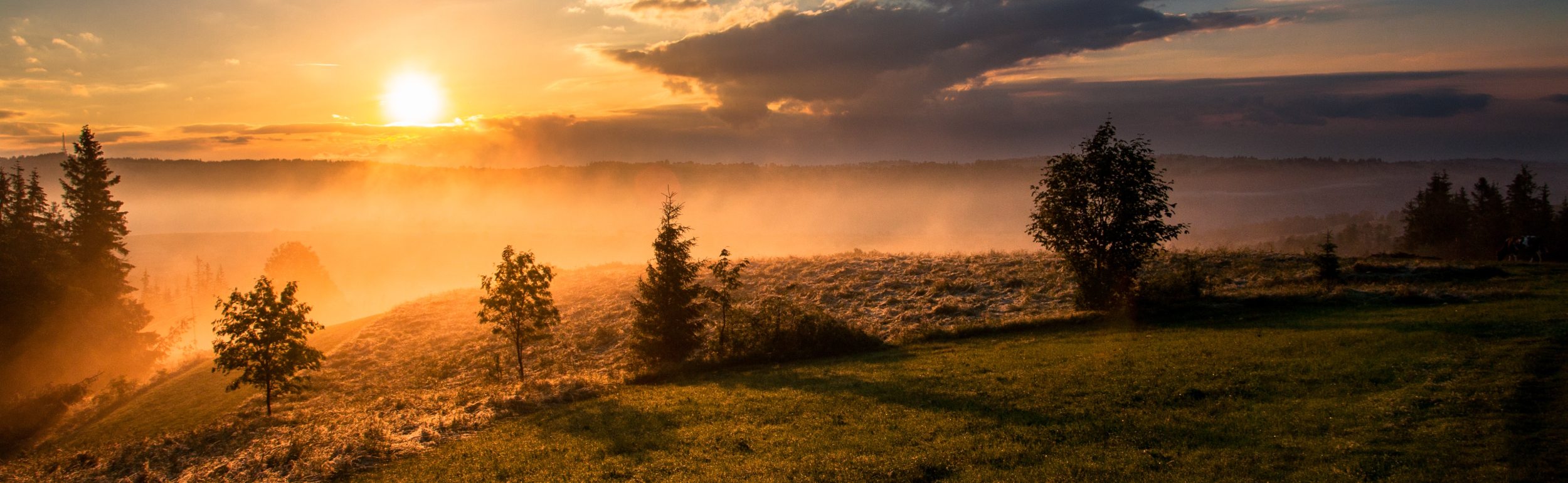 How geospatial analysis will drive real estate investment in times of climate change