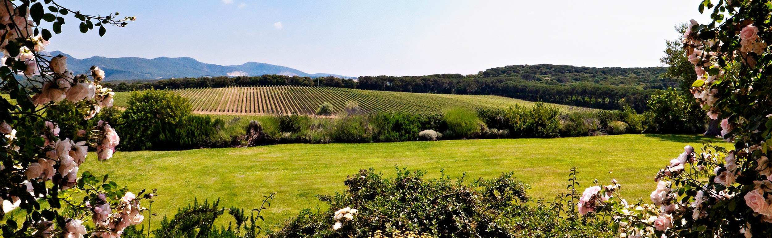 Next Neighbourhoods 2021: Bolgheri, Tuscany, Italy