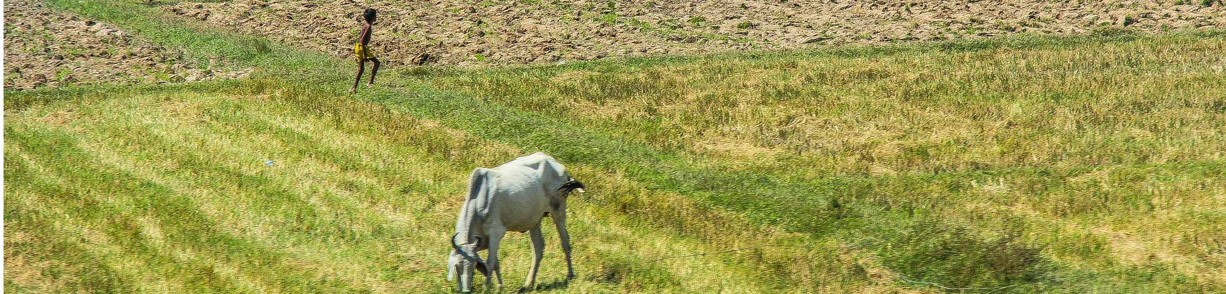 The Knight Frank Rural Property and Business Update – 29 March