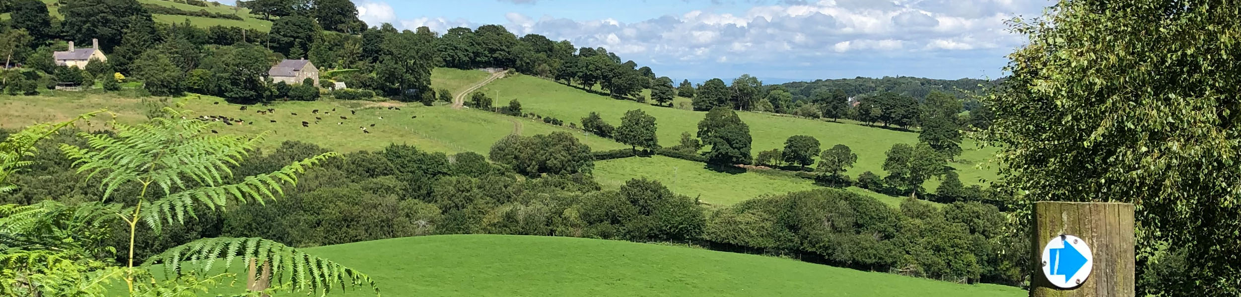  Redressing the balance between farming and nature