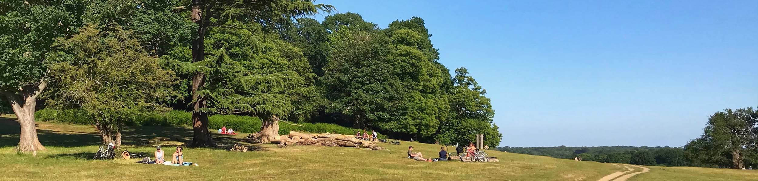 London’s Leafiest Suburbs Revealed