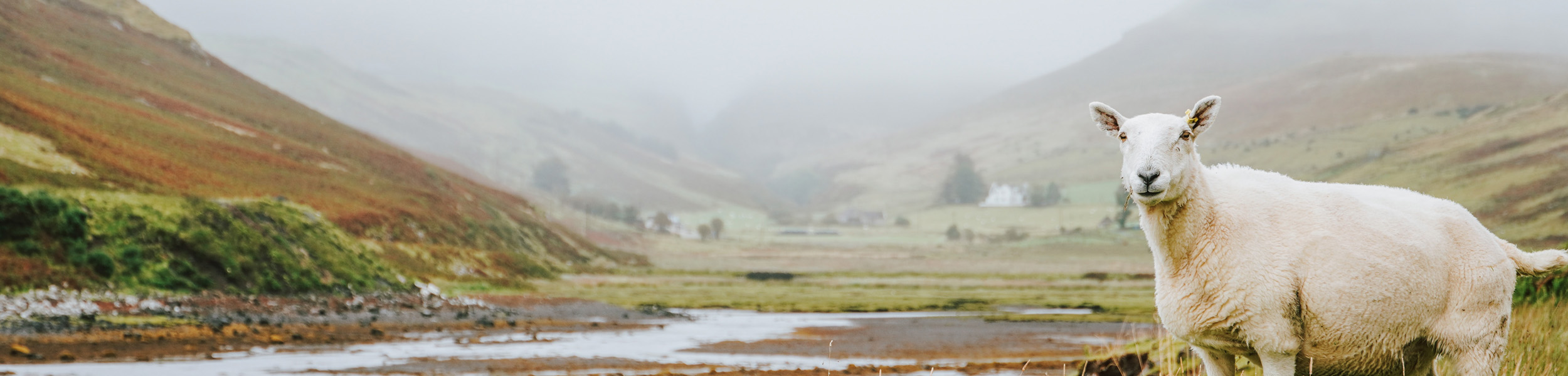 The Knight Frank Rural Property and Business Update – 12 April
