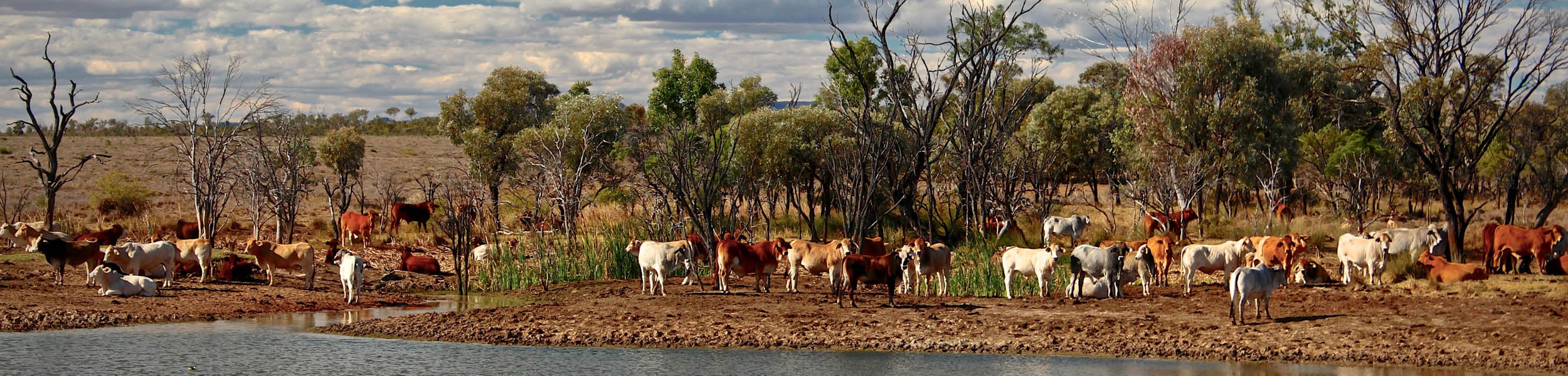 The Knight Frank Rural Property and Business Update – 10 May