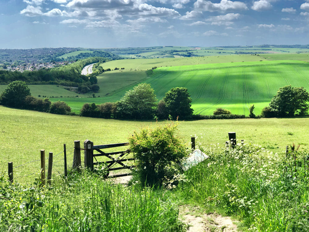 Plan for rural resilience, not just homes