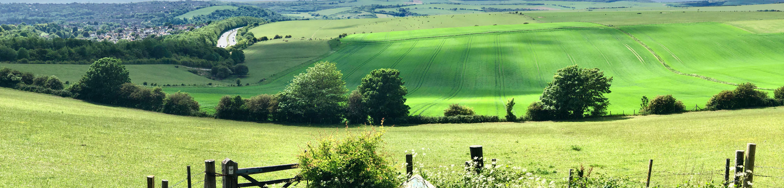 The Knight Frank Rural Property and Business Update – 17 May