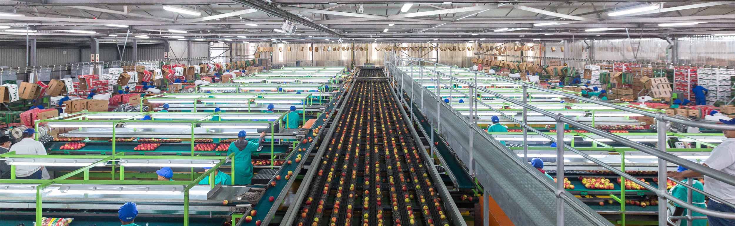 Agricultural investing in Africa for profit and community