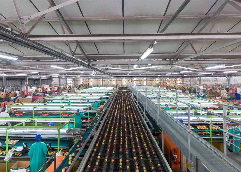 Image of Agricultural investing in Africa for profit and community