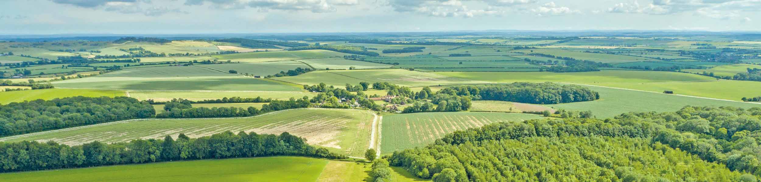 Rewilding trend boosts the UK farmland market