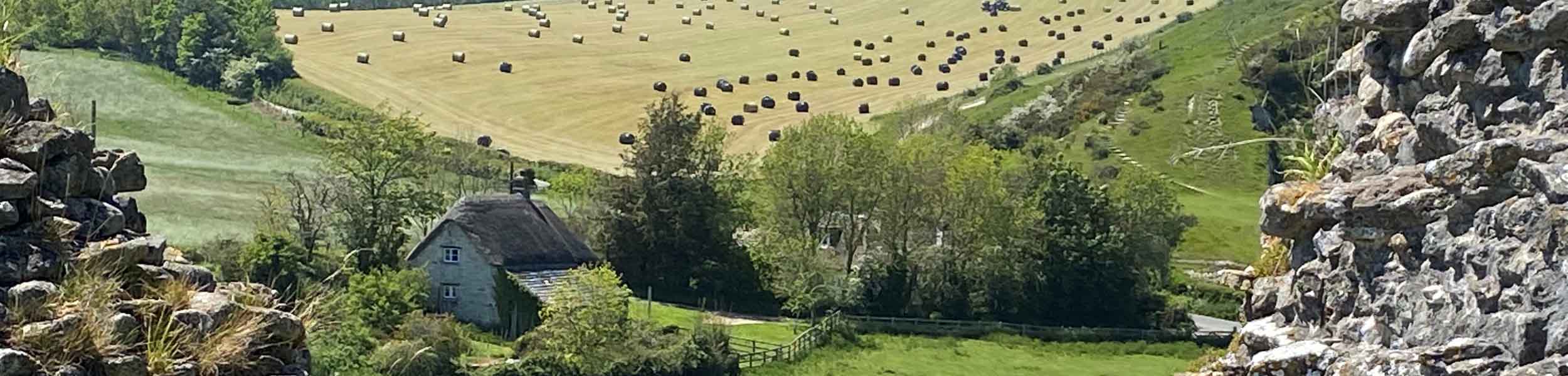 The Knight Frank Rural Property and Business Update – 14 June