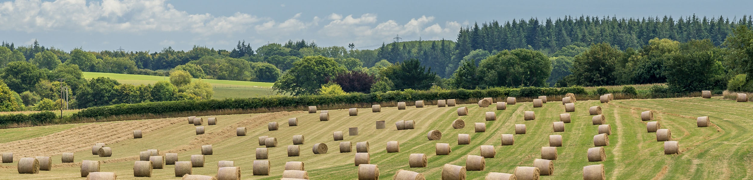 The Knight Frank Rural Property and Business Update – 31 May