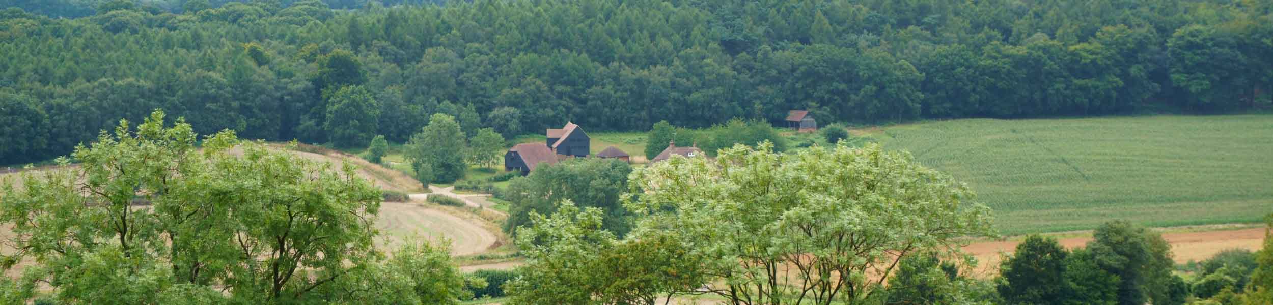 Friday property news update - 23 July