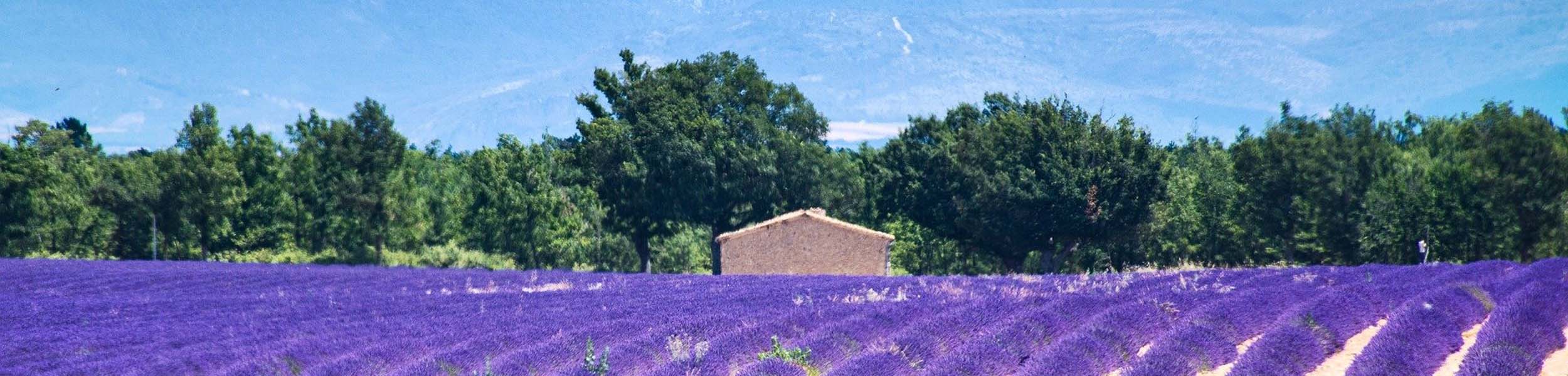 Midweek property news update - 14 July