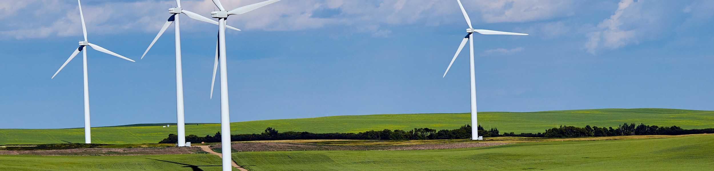 Midweek property news update - 7 July