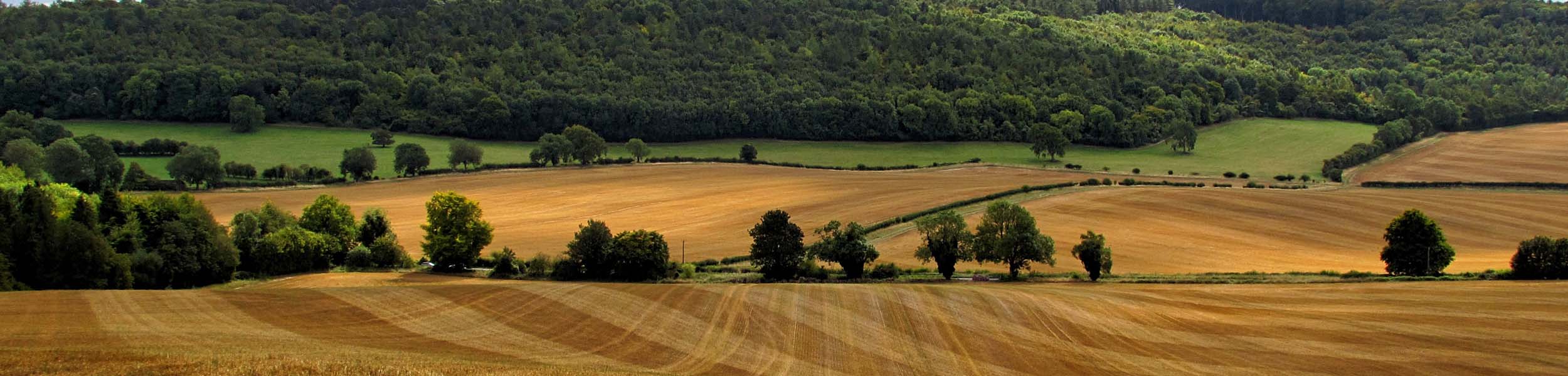 Government and farmers must work together to prevent UK health and biodiversity crisis