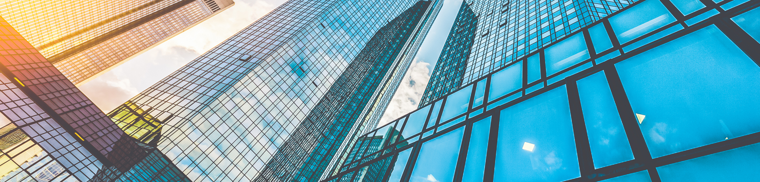 Commercial catch up: a round up of the latest commercial research content 