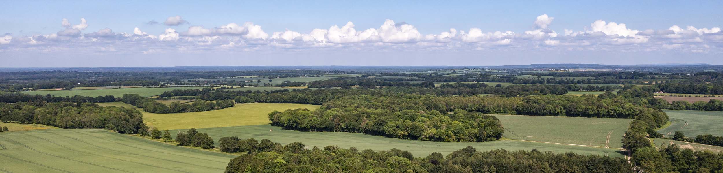 Rewilders drive farmland market