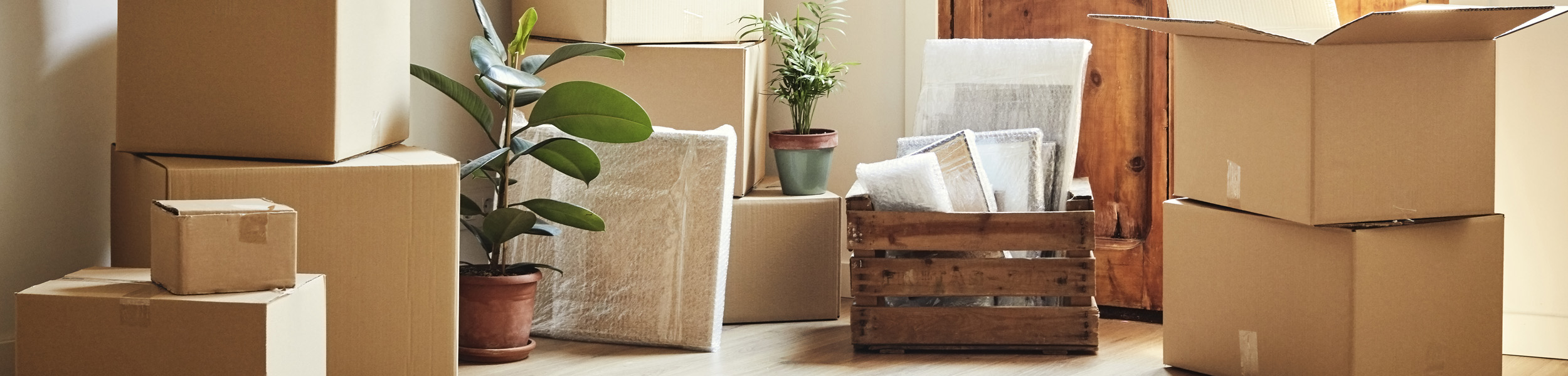 Supply squeeze in rental market to tighten in spring