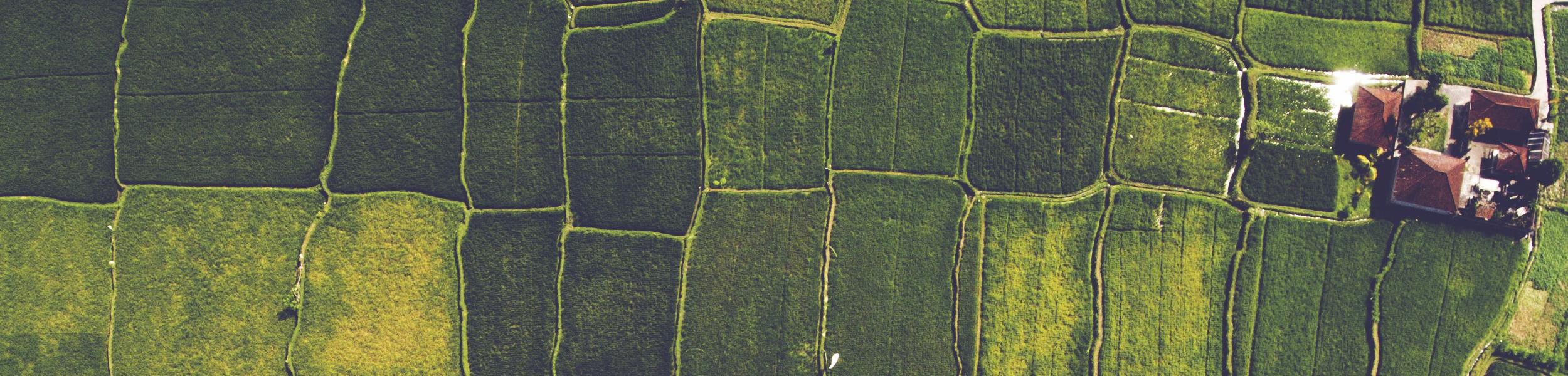 Nature versus food – the big debate