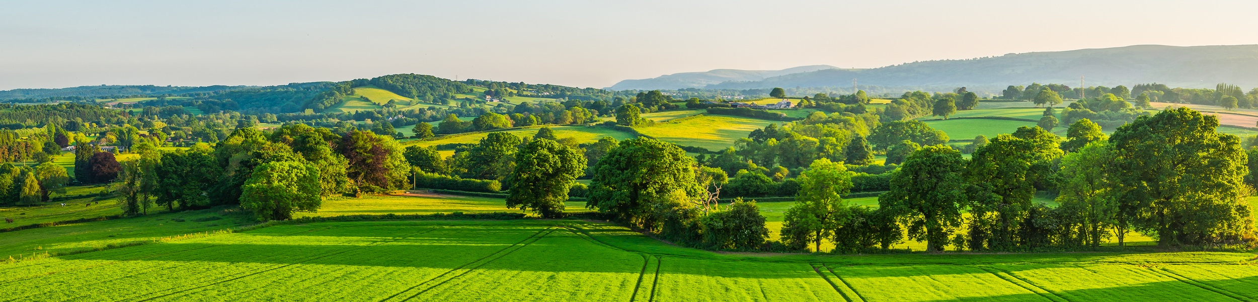 Ukraine war speeds up UK’s agricultural transition