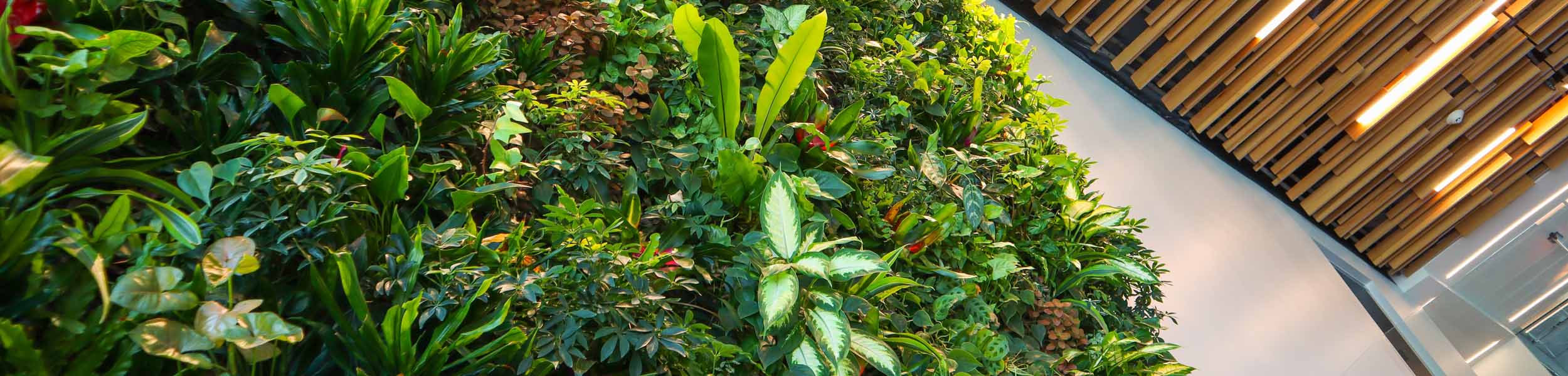 How can NABERS sustainability rating benefit occupiers? 