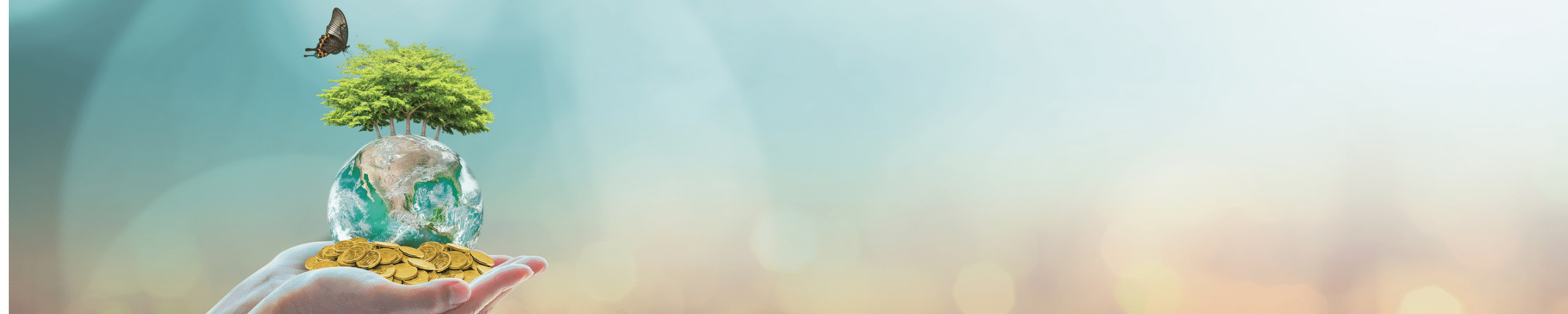 The Wealth Report 2022 – Risks and Opportunities in Asia Pacific, Q&As with Christine Li