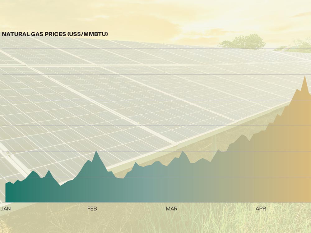 Image of How can rural landowners battle the energy crunch?