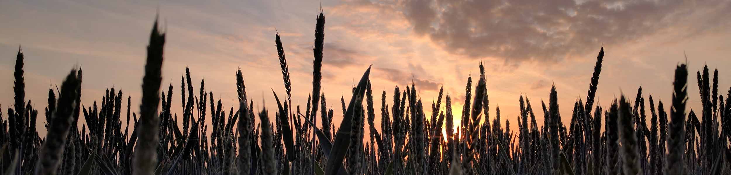 The future of rural estates: People, Planet and Profit 