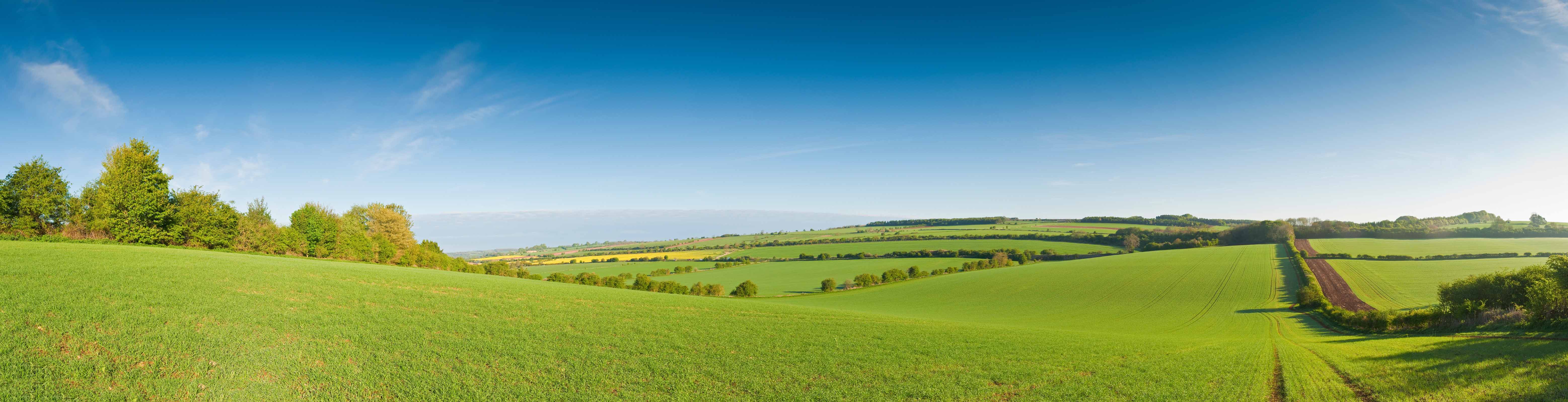 UK farmland market: focus on food production 