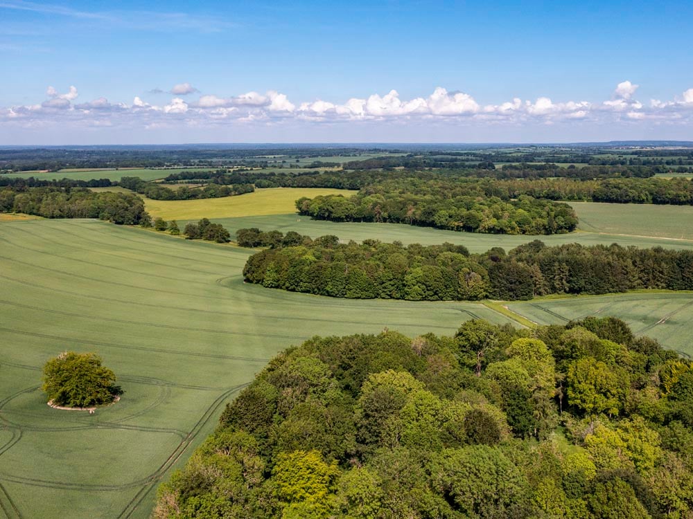 Image of Why are UK farmland values continuing to rise?