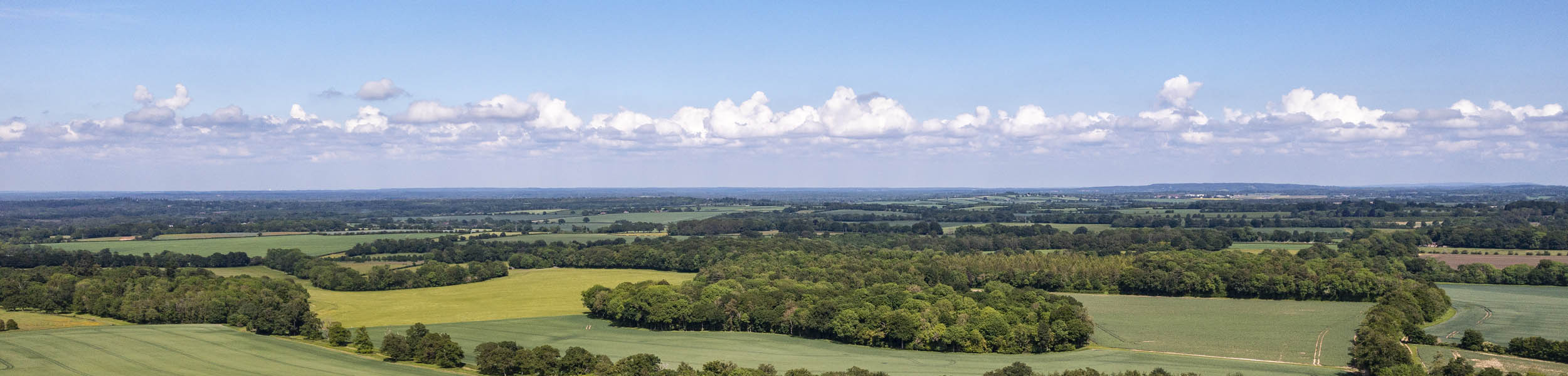 Why are UK farmland values continuing to rise?