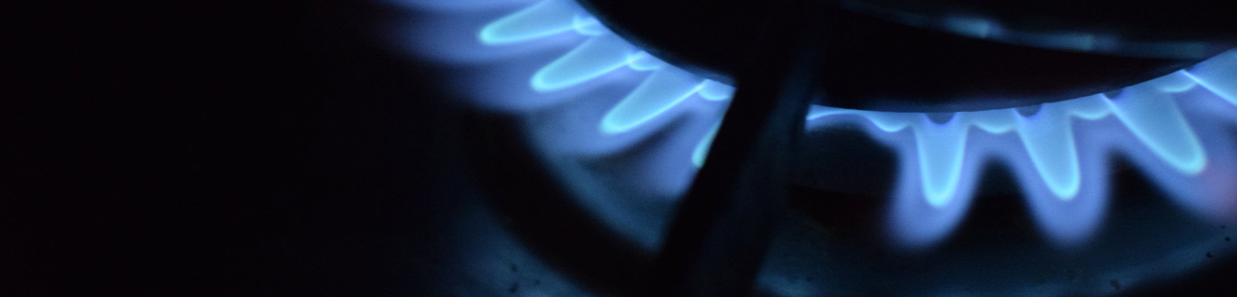 The energy efficiency of a home has become more important to 80% of buyers in the past year