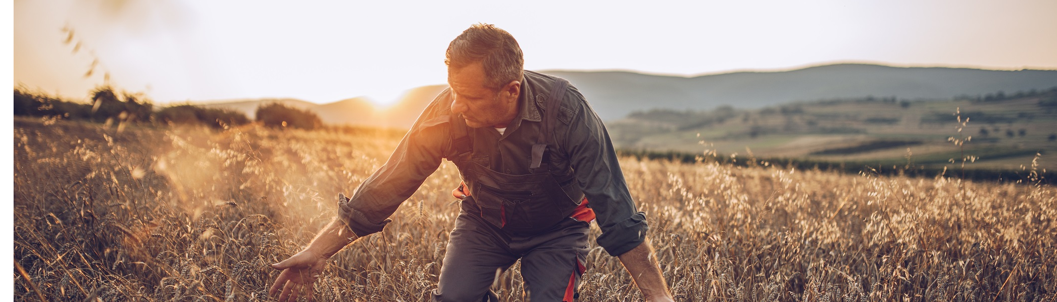 Debt can offer relief to farmers and rural landowners suffering acute pressures on income