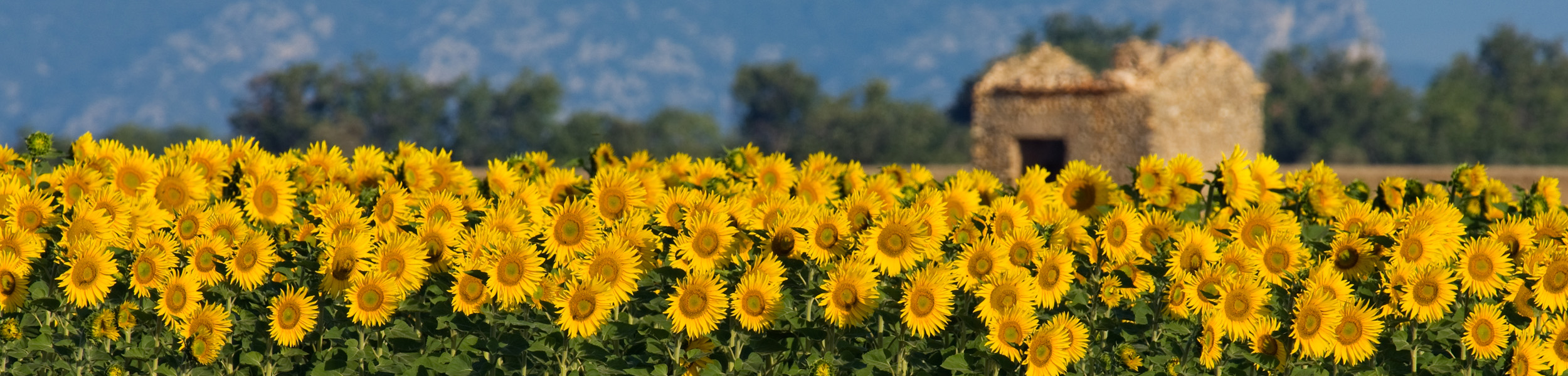 What you need to know when financing your second home in France