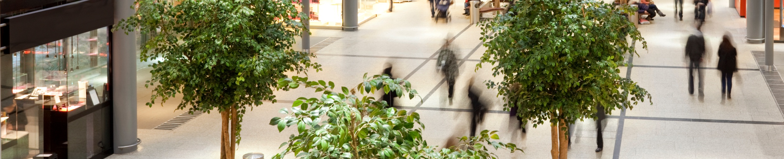 Exploring retail's greenest assets