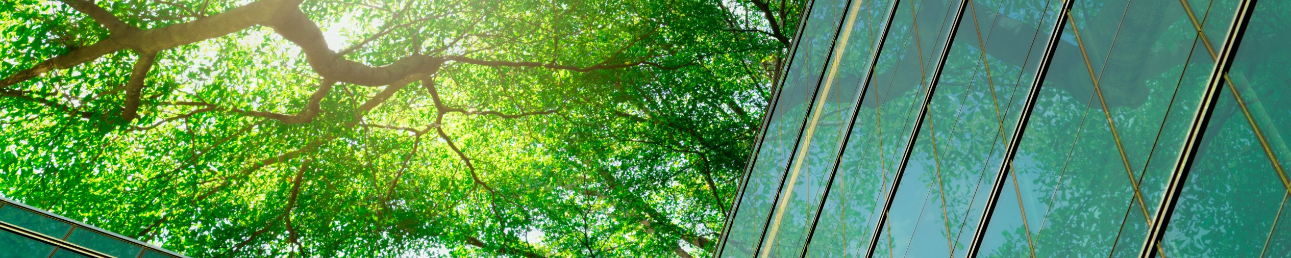 How ESG influences private investment in real estate