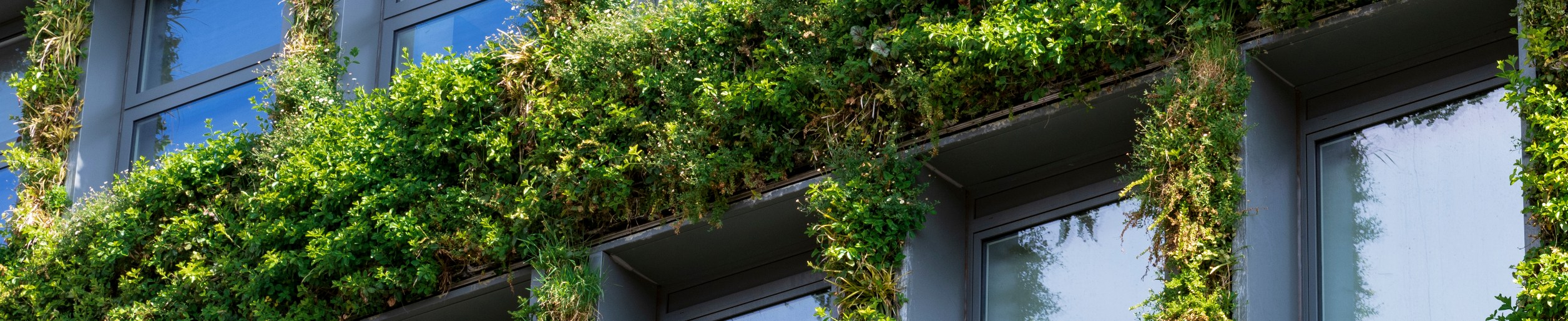 The changing nature of occupier interest in ESG