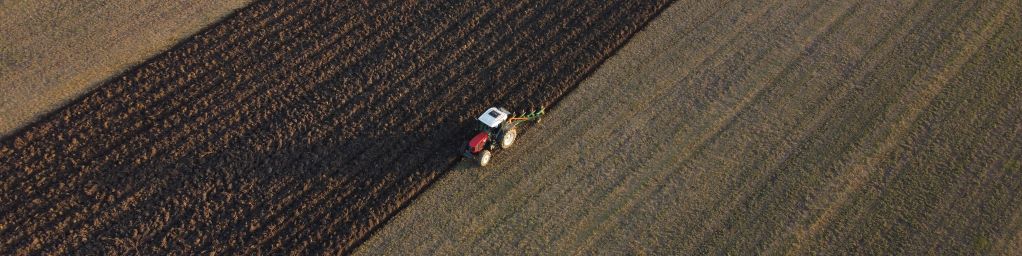 Vineyards, Pesticides, Dear Ms Truss
